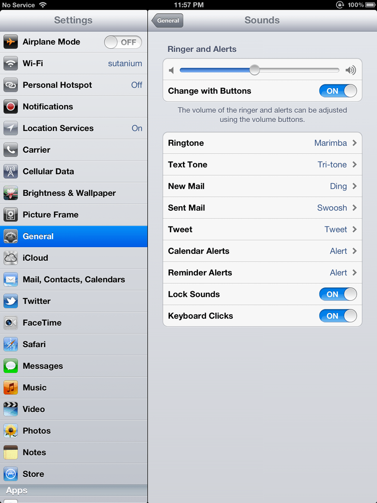 iPad Proper Ringer and Alerts Settings Enabled
